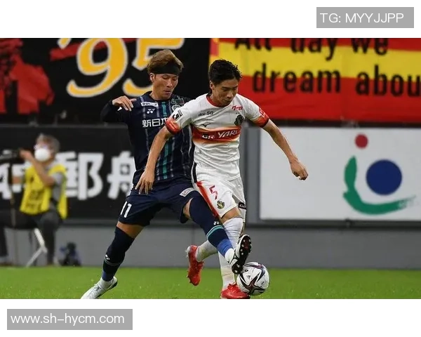 新泻天鹅与黄蜂的精彩对决揭示了球队实力与战术的较量