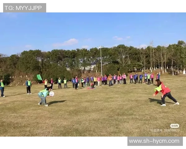 重庆飞盘队的团队协作变革引发热议与思考