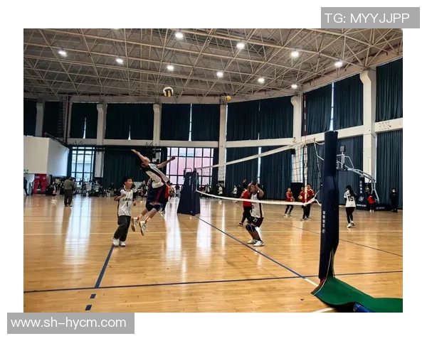 成都排球队的阵地战策略解析与深度剖析排球竞技的魅力与挑战